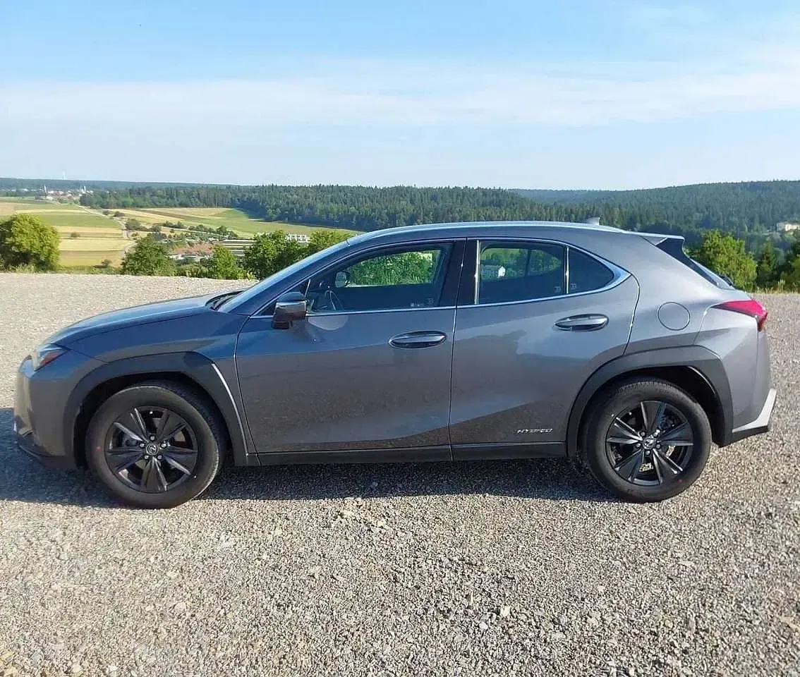 Gebraucht Lexus UX 250h Launch Edition 184 PS (135 kW) 2019 Grau SUV