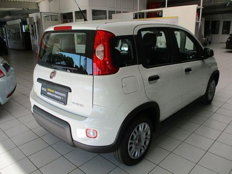 Gebraucht Fiat Panda 69 PS (50 kW) 2024 Weiß Kleinwagen