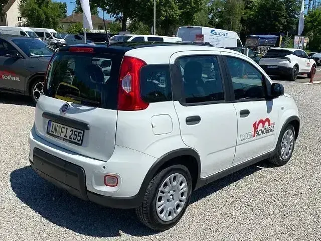 Gebraucht Fiat Panda Cross Cross 69 PS (50 kW) 2024 Weiß Kleinwagen