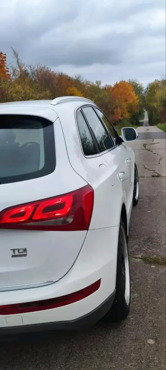 Gebraucht Audi Q5 150 PS (110 kW) 2015 Weiß SUV
