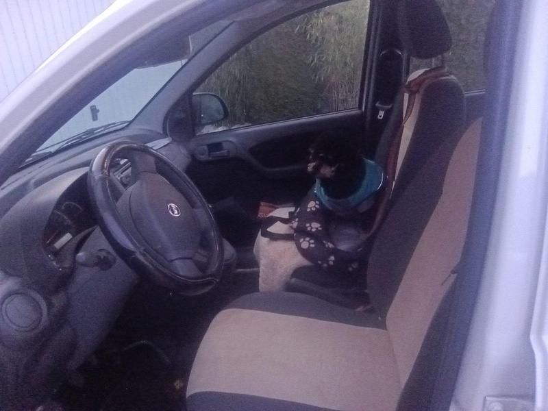 Gebraucht Fiat Panda 60 PS (44 kW) 2011 Weiß Kleinwagen