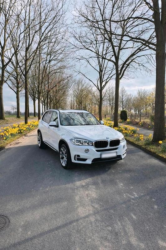 Second-hand BMW X5 Shadowline 258 CP (189 kW) 2017 Alb SUV