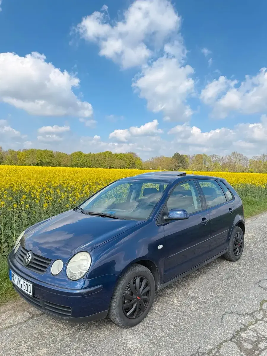 Używany VW Polo 75 KM (55 kW) 2002 Purpurowy Hatchback