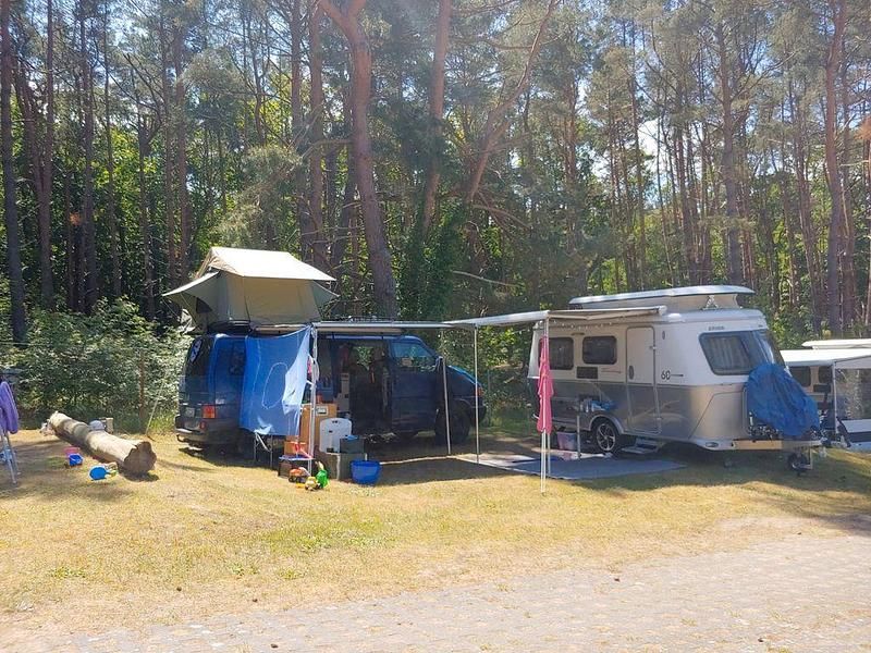 Blau Gebraucht 2003 VW T4 Van | 8.500 € (Superpreis) - Bild 1/4