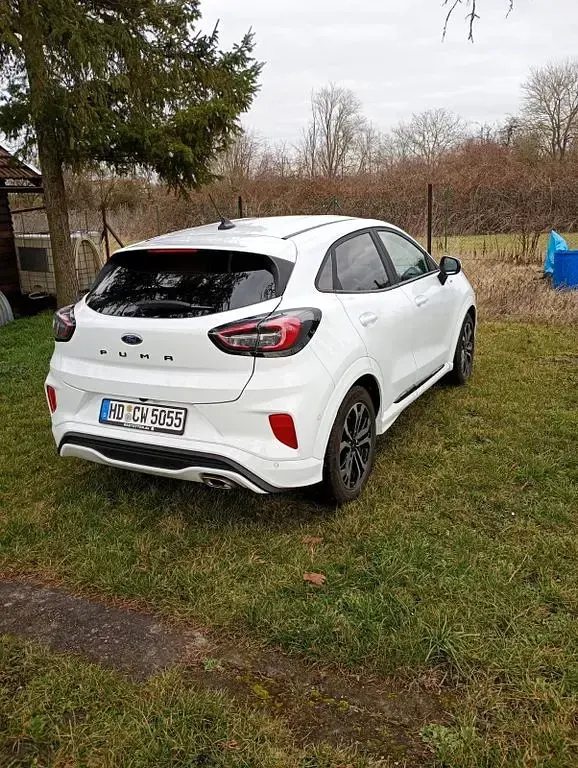 Gebraucht Ford Puma ST-Line 125 PS (91 kW) 2024 Weiß SUV