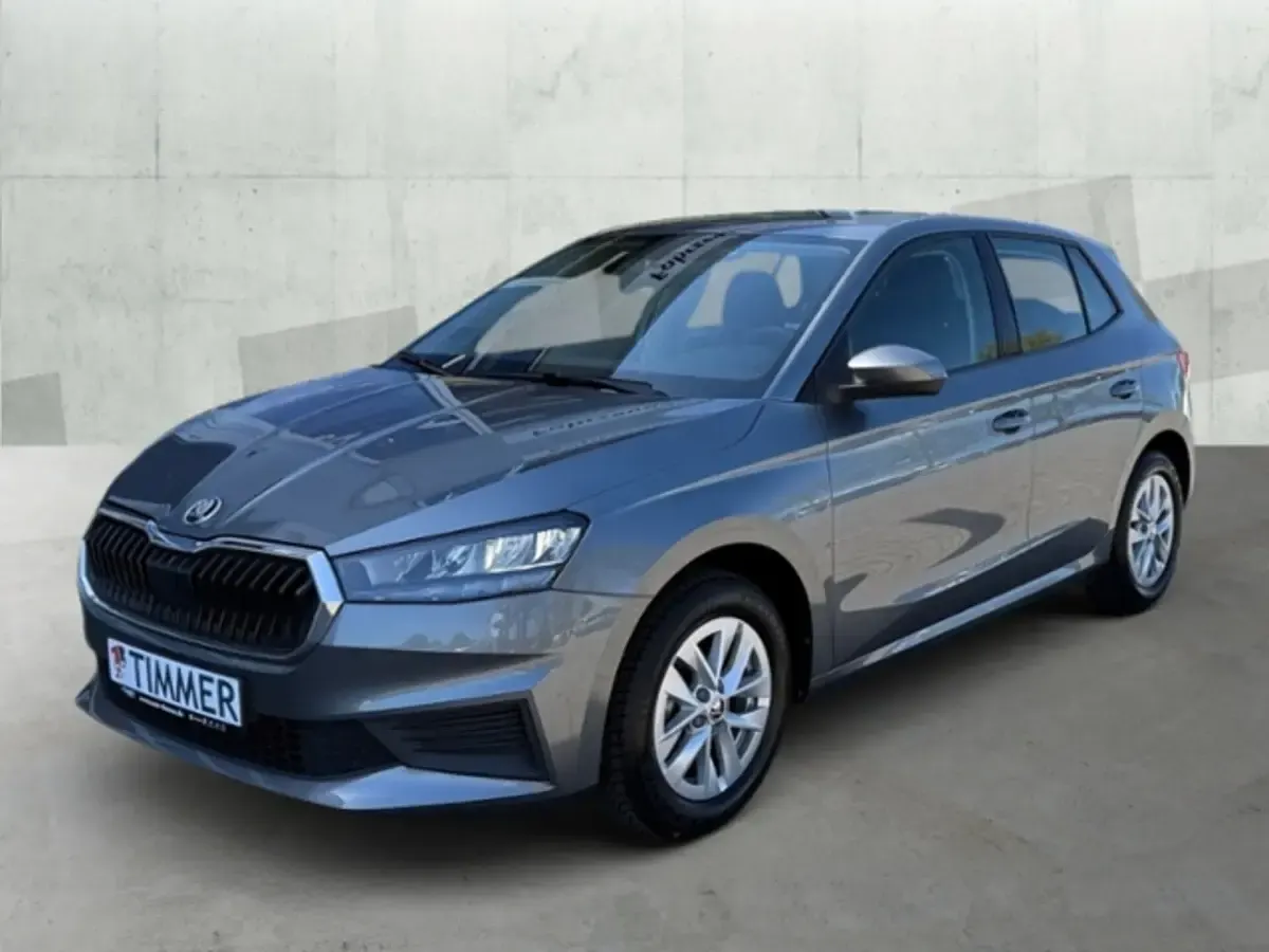 Gebraucht Skoda Fabia Active 95 PS (69 kW) 2022 Grau Kleinwagen