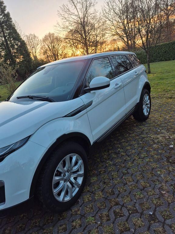 Gebraucht Land Rover Range Rover evoque SE Dynamic 150 PS (110 kW) 2016 Weiß SUV