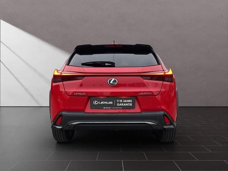 Gebraucht Lexus UX 250h Sport Line 152 PS (111 kW) 2024 Solid red SUV