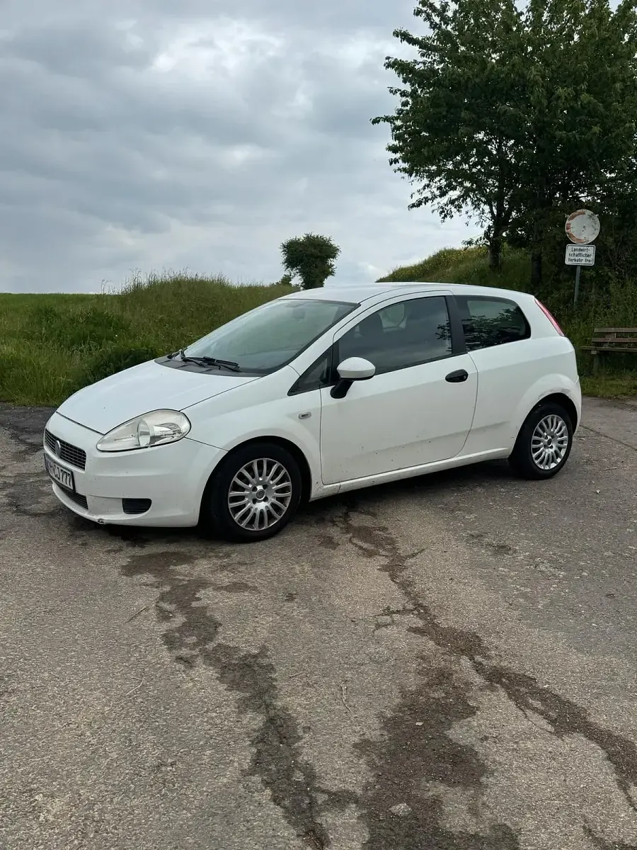Gebraucht Fiat Punto 77 PS (56 kW) 2009 Weiß Kleinwagen
