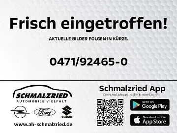 Neu BYD Dolphin Surf Boost 64 kW (88 PS) 2025 Grün Kleinwagen