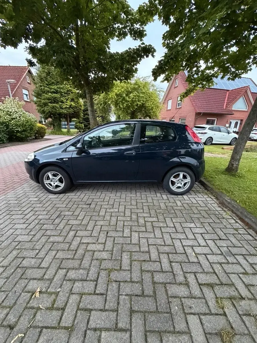 Gebraucht Fiat Punto 65 PS (47 kW) 2009 Blau Kleinwagen