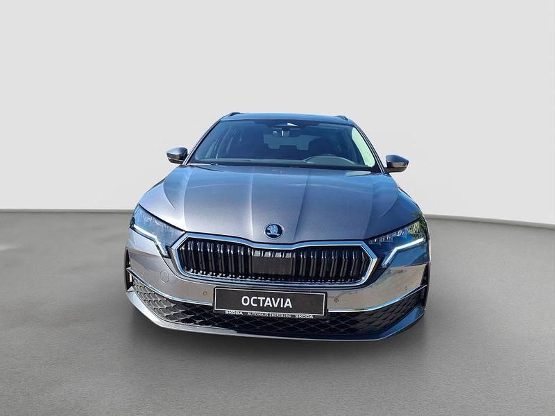 Gebraucht Skoda Octavia Selection 150 PS (110 kW) 2025 Grau Kombi