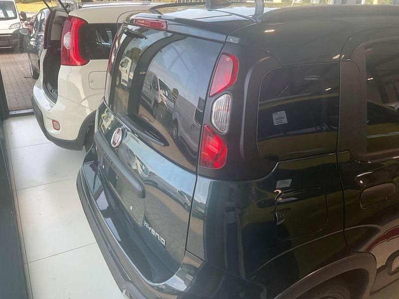 Neu Fiat Panda Cross 69 PS (50 kW) 2025 Grün Kleinwagen