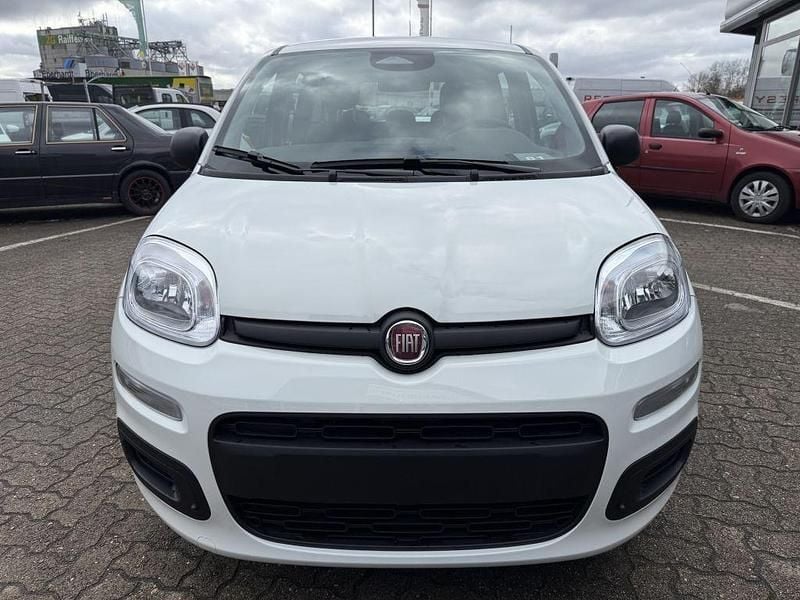 Neu Fiat Panda 69 PS (50 kW) 2025 Gelato weiss Kleinwagen