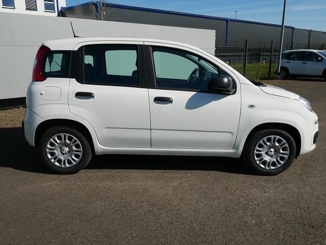 Neu Fiat Grande Panda 69 PS (50 kW) 2025 Weiss Kleinwagen