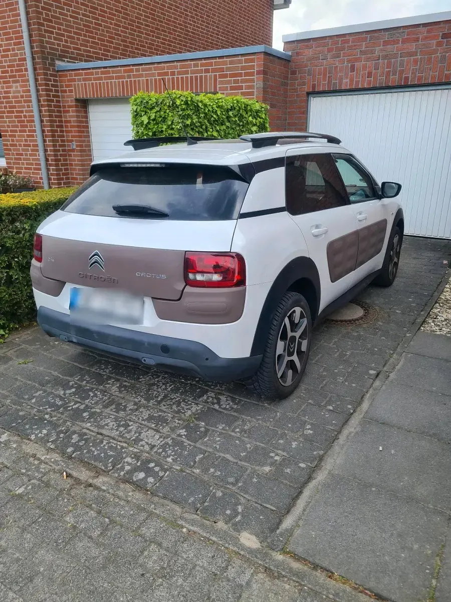 Gebraucht Citroën C4 Cactus 2014 Weiß Kleinwagen