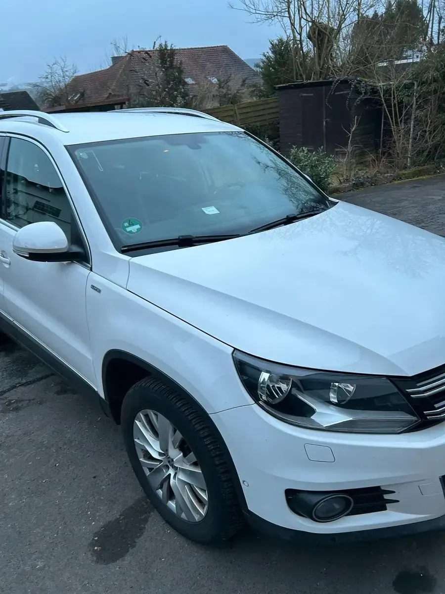 Gebraucht VW Tiguan Life 140 PS (102 kW) 2013 Weiß SUV
