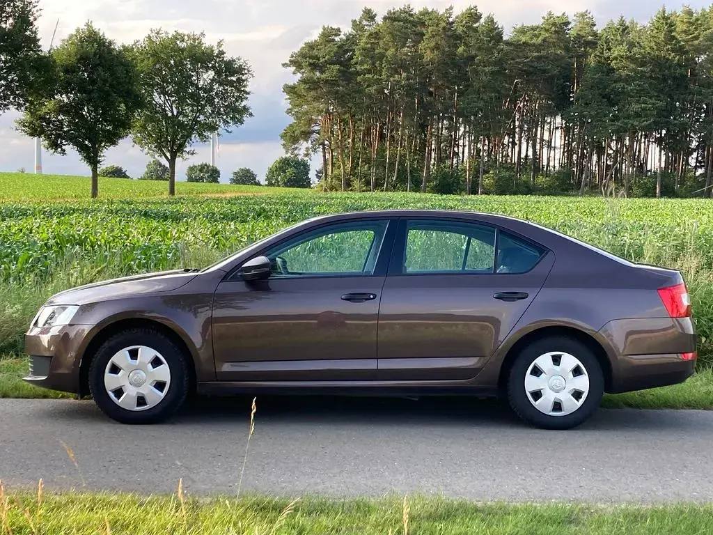 Gebraucht Skoda Octavia Active 86 PS (63 kW) 2014 Braun Kombi