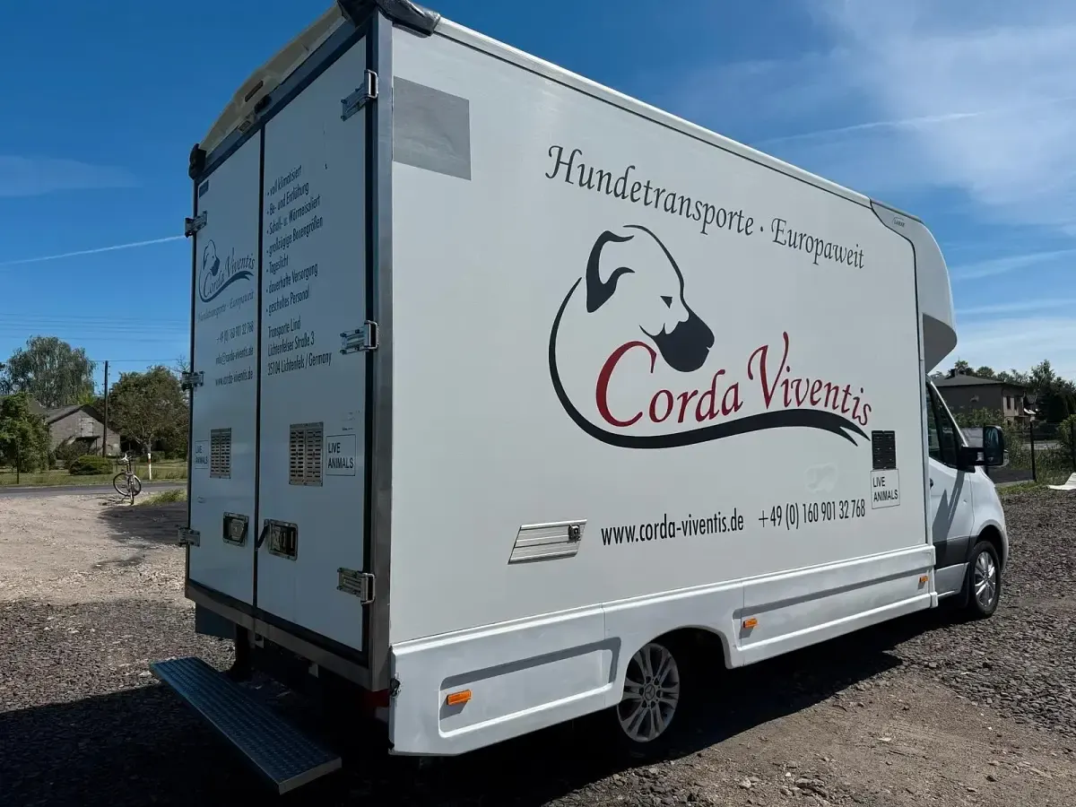 Gebraucht Mercedes Sprinter 190 PS (139 kW) 2021 Weiß Van