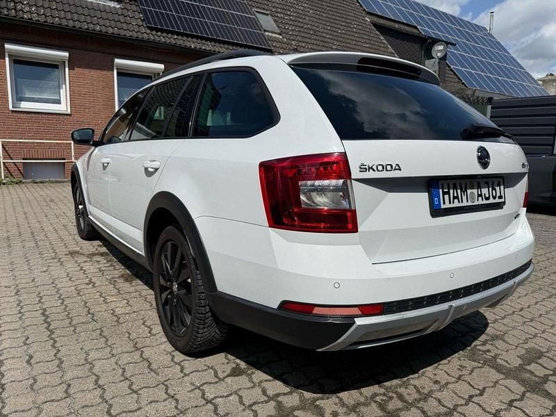 Gebraucht Skoda Octavia Scout 150 PS (110 kW) 2019 Weiß Kombi