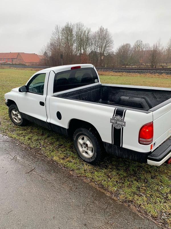 Gebraucht Dodge Dakota 120 PS (88 kW) 1998 Weiß Abholung