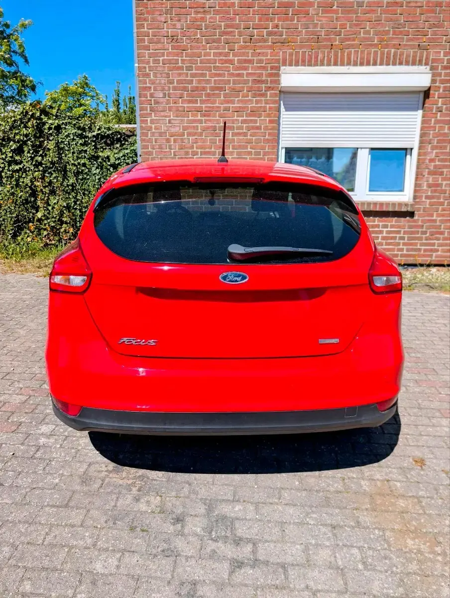 Gebraucht Ford Focus 125 PS (91 kW) 2018 Rot Limousine