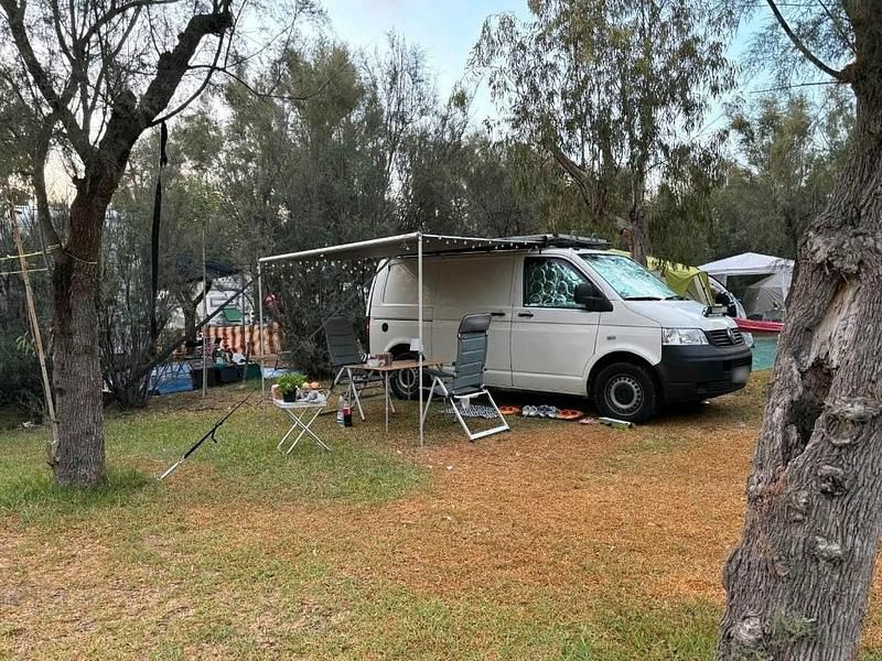 Gebraucht VW Transporter 80 PS (58 kW) 2006 Weiß Van