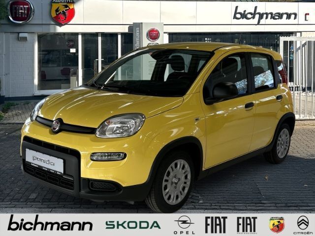 Gelb (gelb) Neu 2024 Fiat Panda Kleinwagen | 14.990 € (Fairer Preis) - Bild 1/4