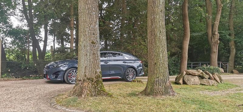 Occasion Kia ProCeed GT 204 ch (150 kW) 2023 Gris Break