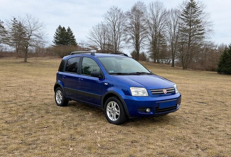 Gebraucht Fiat Panda 4x4 60 PS (44 kW) 2009 Blau Kleinwagen