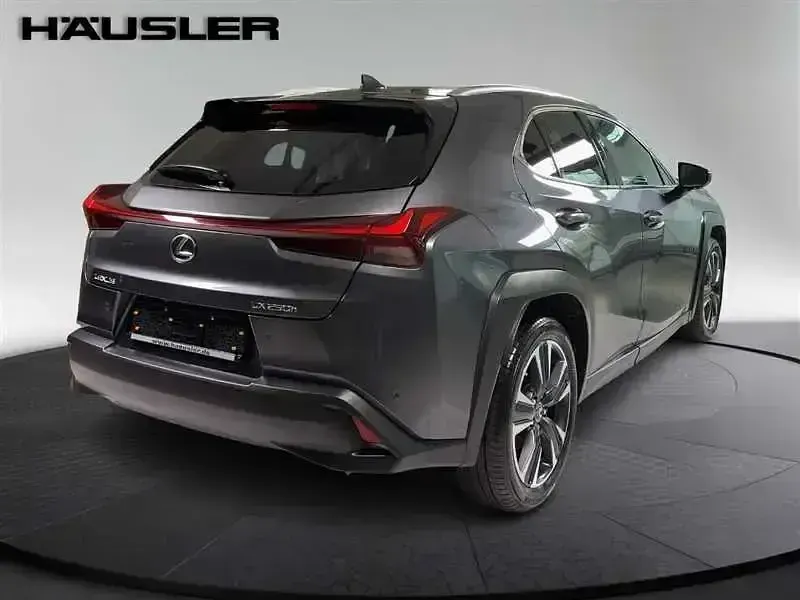 Gebraucht Lexus UX 2023 Grau SUV