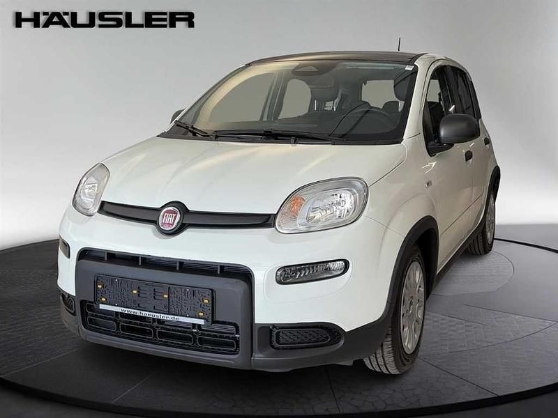 Gebraucht Fiat Panda 69 PS (50 kW) 2024 Weiß Limousine