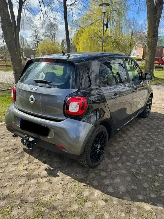 Usata Smart ForFour 90 CV (66 kW) 2019 Grigio Utilitaria