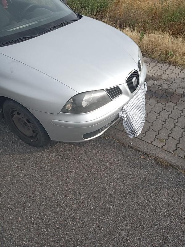 Silber Gebraucht 2003 Seat Ibiza Kleinwagen | 300 € (Superpreis) - Bild 1/4