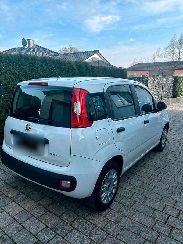 Gebraucht Fiat Panda 70 PS (51 kW) 2021 Weiß Kleinwagen
