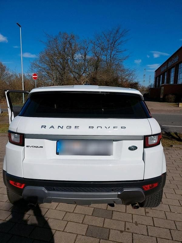 Gebraucht Land Rover Range Rover evoque 150 PS (110 kW) 2016 Weiß SUV