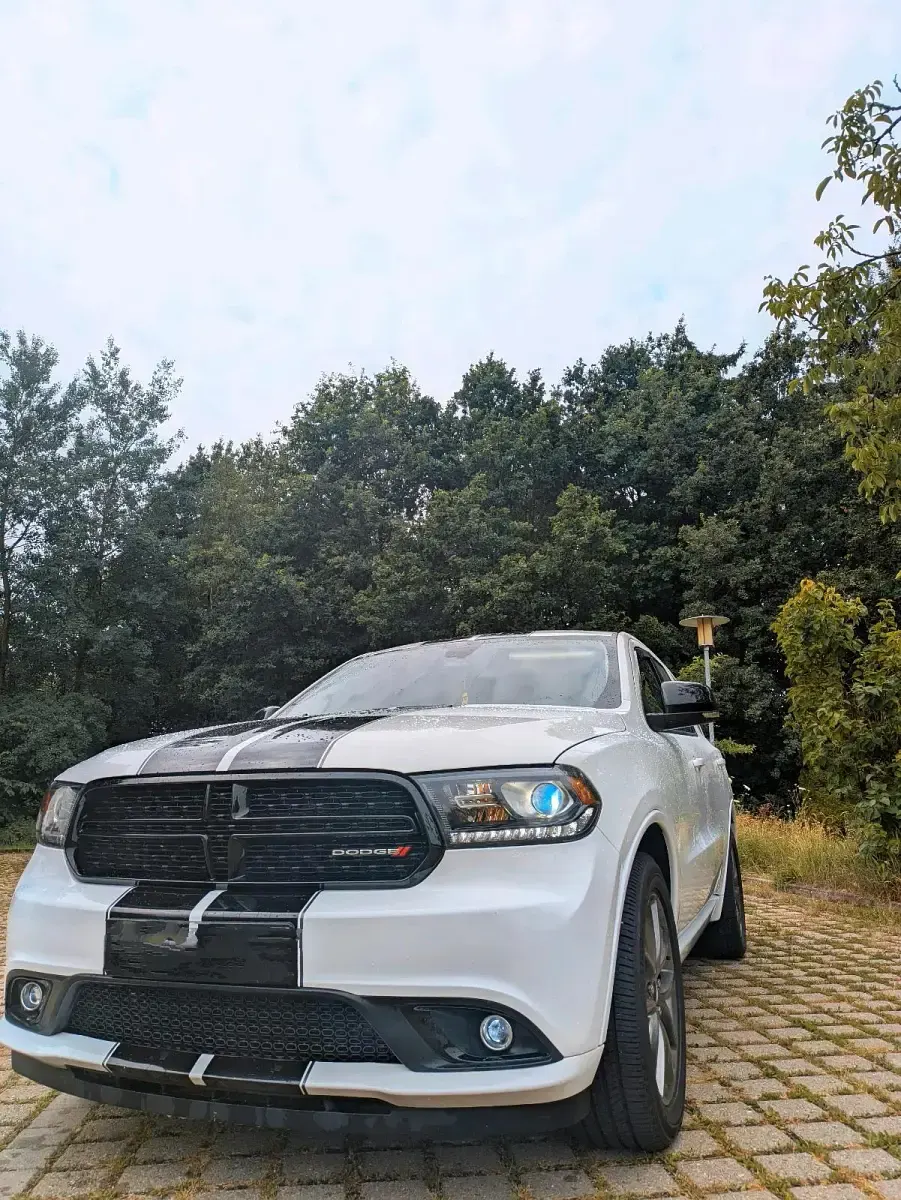 Gebraucht Dodge Durango 299 PS (219 kW) 2018 Weiß SUV