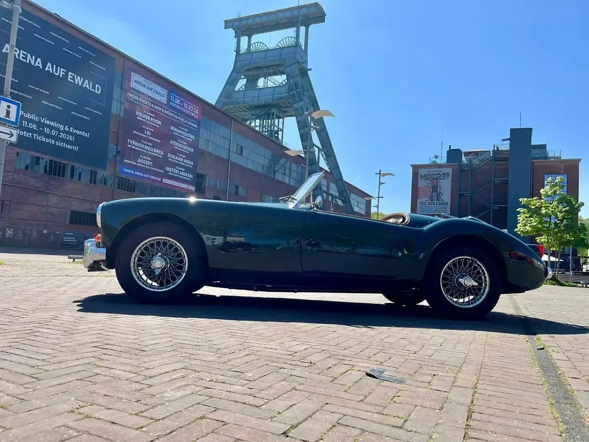 Używany MG MGA 74 KM (54 kW) 1957 Zielony Kabriolet
