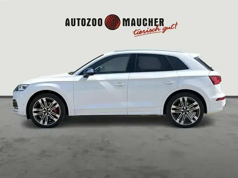 Gebraucht Audi SQ5 Comfort 347 PS (255 kW) 2020 Ibisweiß SUV