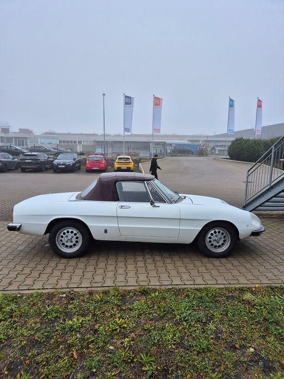 Gebraucht Alfa Romeo Spider 116 PS (85 kW) 1981 Weiß Cabrio
