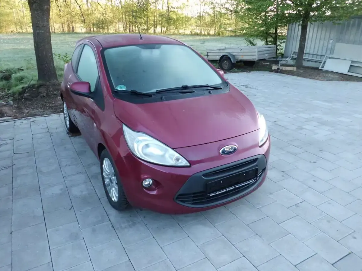 Gebraucht Ford Ka Titanium 69 PS (50 kW) 2015 Funky magenta metallic Kleinwagen