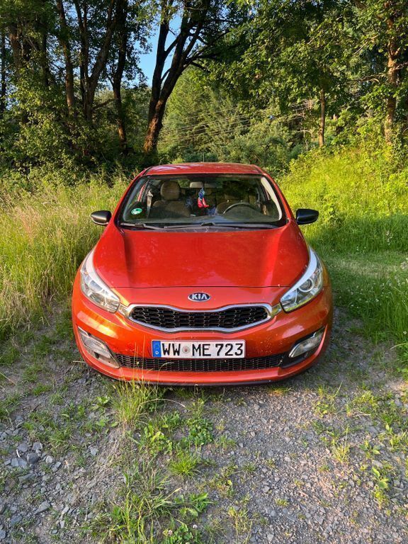 Orange Gebraucht 2015 Kia Ceed Limousine | 6.000 € (Superpreis) - Bild 1/4