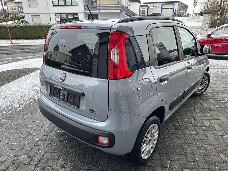 Gebraucht Fiat Panda Easy 69 PS (50 kW) 2019 Colore esterno (************** Kleinwagen