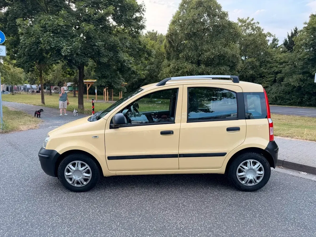 Gebraucht Fiat Panda Active 54 PS (39 kW) 2010 Gelb Kleinwagen