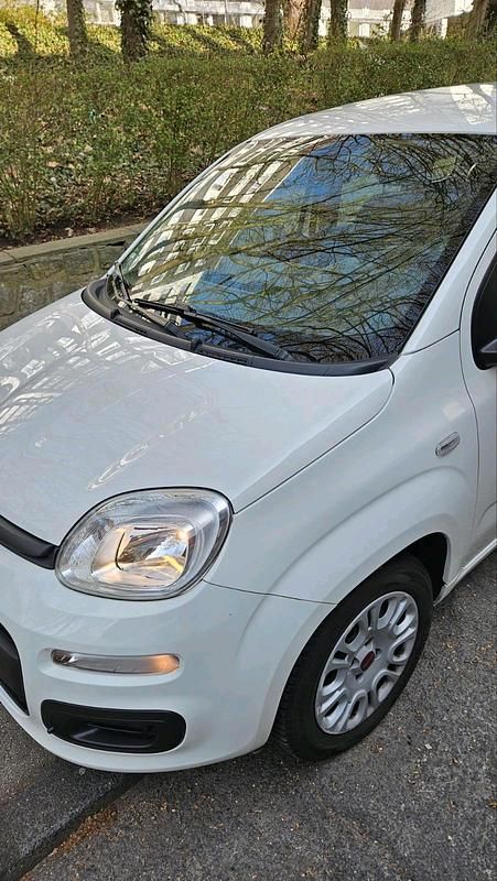 Gebraucht Fiat Panda Easy 69 PS (50 kW) 2018 Weiß Kleinwagen