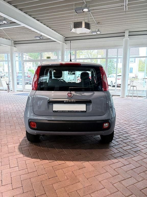 Gebraucht Fiat Panda Easy 69 PS (50 kW) 2020 Grau Kleinwagen