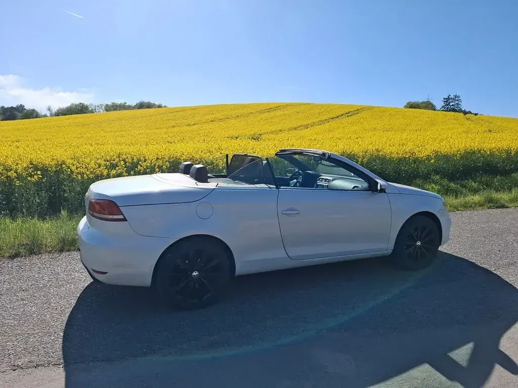 Gebraucht VW Eos Exclusive 160 PS (117 kW) 2015 Weiß Cabrio