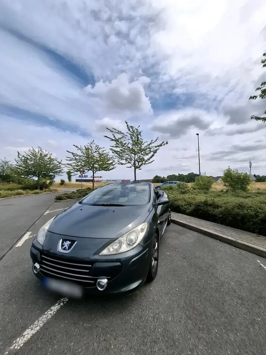 Gebraucht Peugeot 307 CC 140 PS (102 kW) 2006 Grau Cabrio
