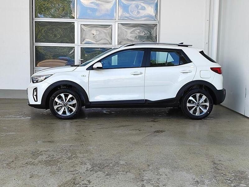 Neu Kia Stonic 79 PS (58 kW) 2025 Weiß SUV