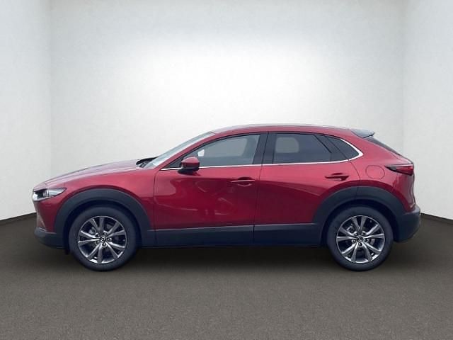 Neu Mazda CX-30 186 PS (136 kW) 2026 Rot SUV